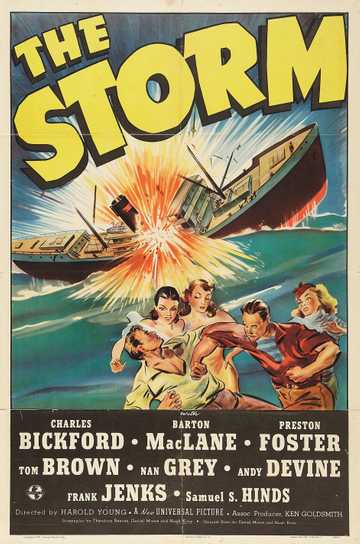 The Storm Poster