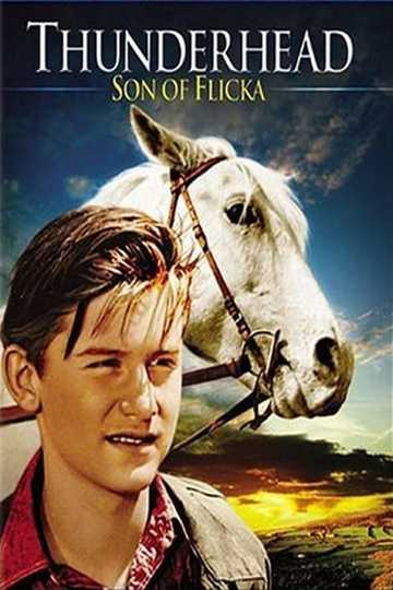 Thunderhead - Son of Flicka Poster