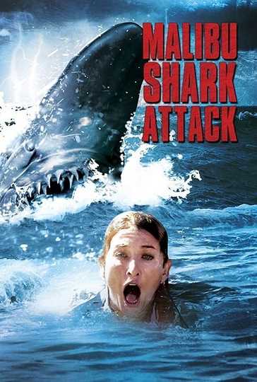 Malibu Shark Attack Poster