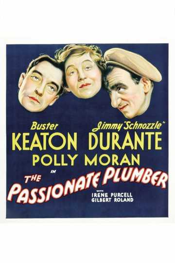 The Passionate Plumber Poster