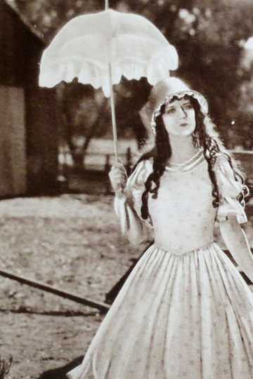 Crinoline and Romance Poster