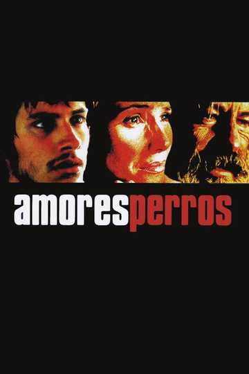 Amores Perros Poster