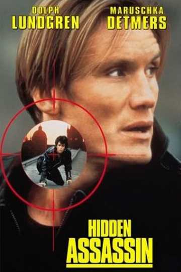 Hidden Assassin Poster
