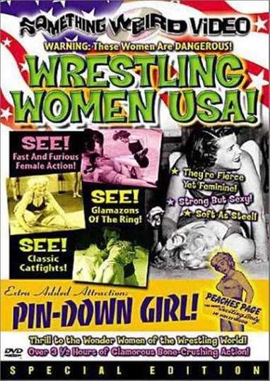 Wrestling Women USA! Poster