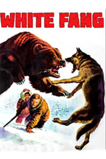 White Fang Poster
