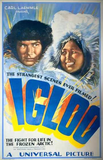 Igloo Poster