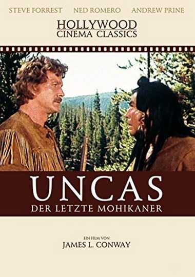 Last Of The Mohicans Poster