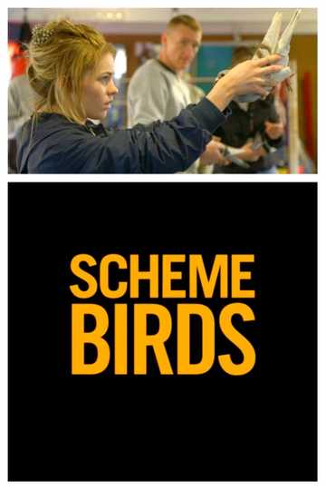 Scheme Birds Poster