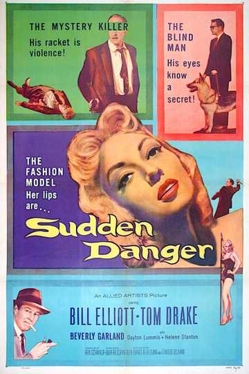 Sudden Danger Poster