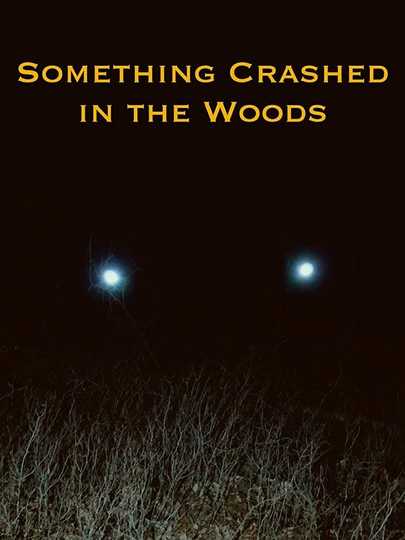 Something Crashed in the Woods Poster
