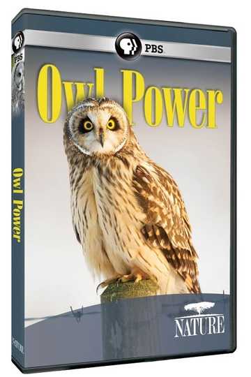 Owl Power Poster