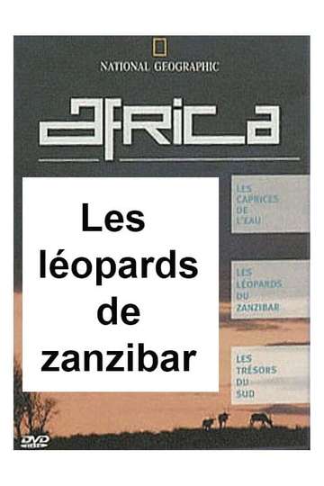 Africa The Leopards of Zanzibar Poster