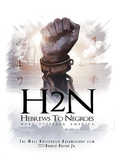Hebrews to Negroes Wake Up Black America