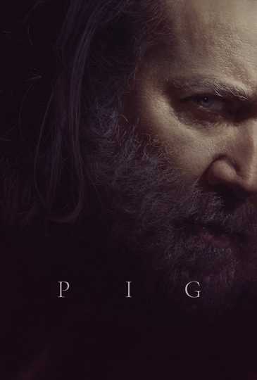 Pig Poster