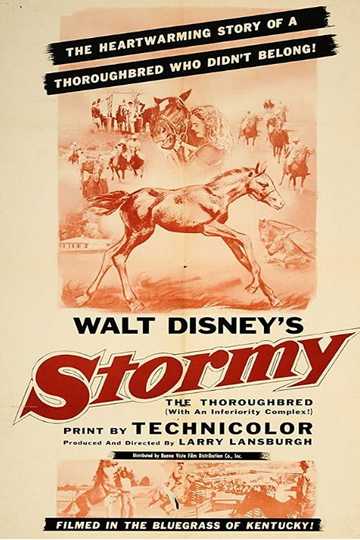 Stormy, the Thoroughbred Poster