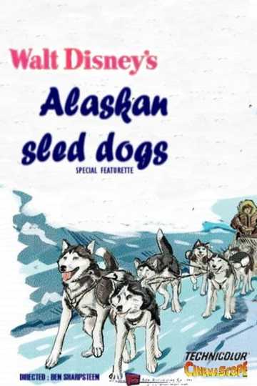 Alaskan Sled Dog Poster