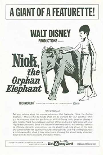 Niok, The Orphan Elephant Poster