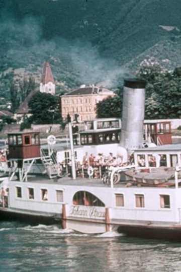 The Danube Poster