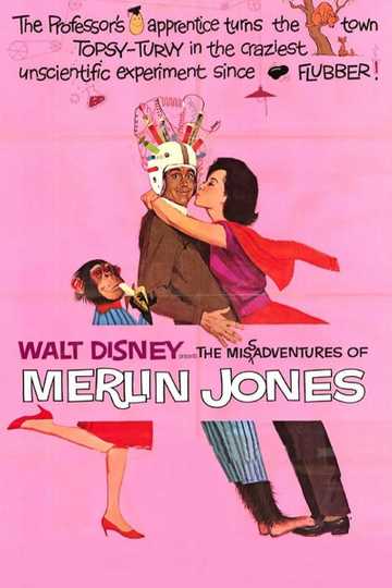 The Misadventures of Merlin Jones Poster