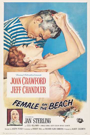 Female on the Beach Poster