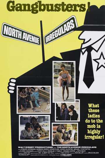The North Avenue Irregulars Poster