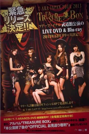 T-ARA Japan Tour 2013 - Treasure Box- 2nd TOUR FINAL In Budokan Poster