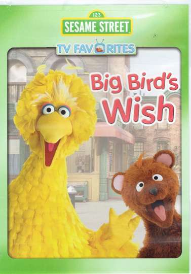 Sesame Street Big Birds Wish (2006) - Movie | Moviefone