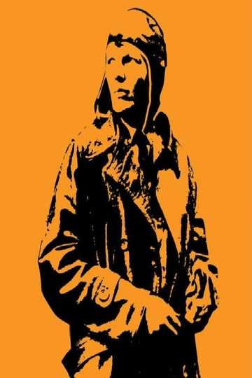 Amelia Earhart: The Lost Evidence Poster