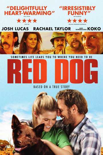 Red Dog Poster