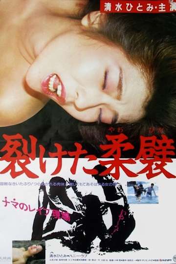 Saketa yawahida Poster