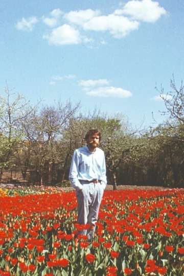 Tulip Field Poster