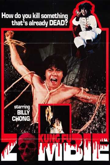Kung Fu Zombie Poster