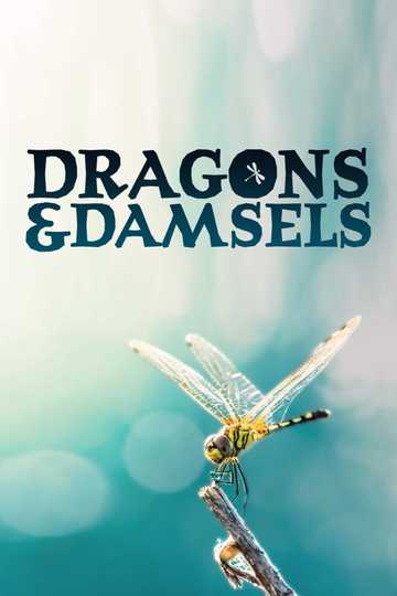 Dragons and Damsels Poster