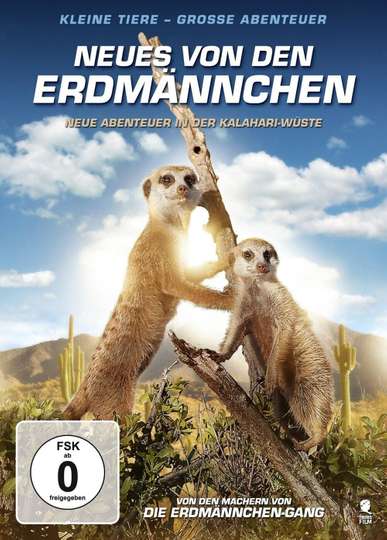 Kalahari Meerkats - Movie | Moviefone