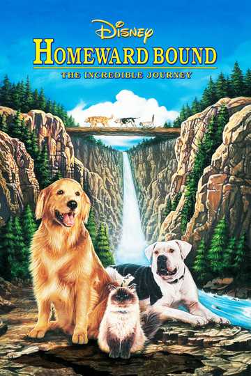 Homeward Bound: The Incredible Journey (1993) - Stream and Watch Online