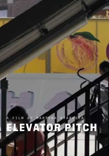 Elevator Pitch Poster
