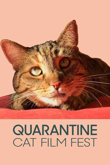 Quarantine Cat Film Festival Poster