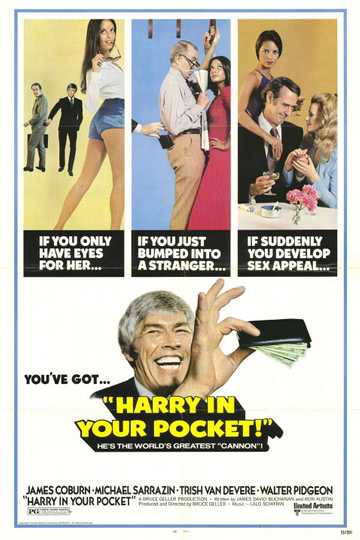 Harry in Your Pocket Poster