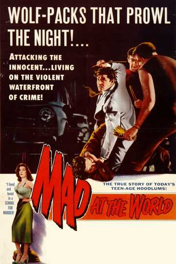 Mad at the World Poster