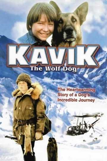 Kavik The Wolf Dog Poster