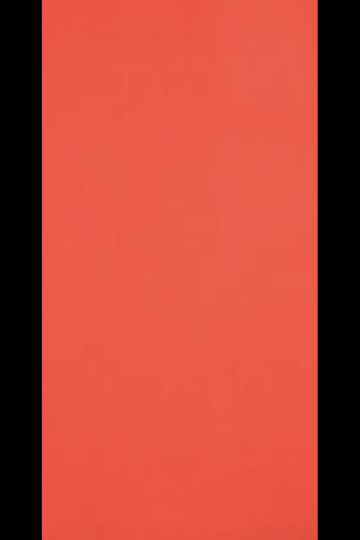 The Red Experiment Poster
