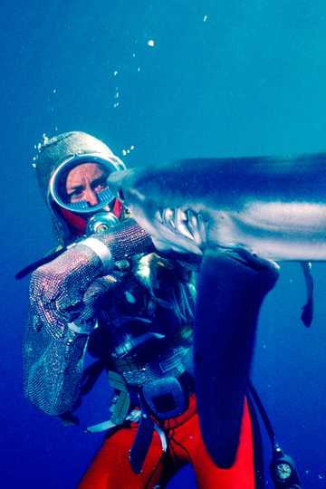2021 Playing With Sharks 2021 Playing With Sharks