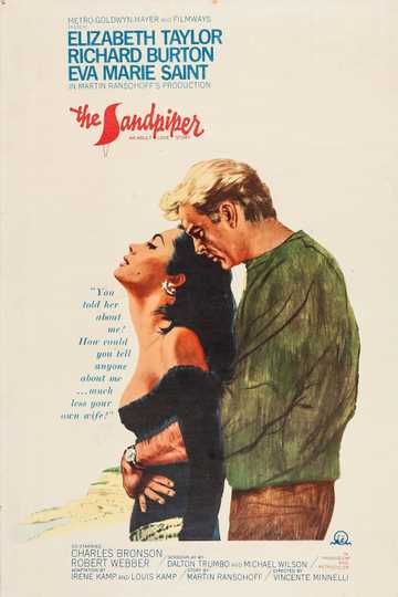 The Sandpiper Poster
