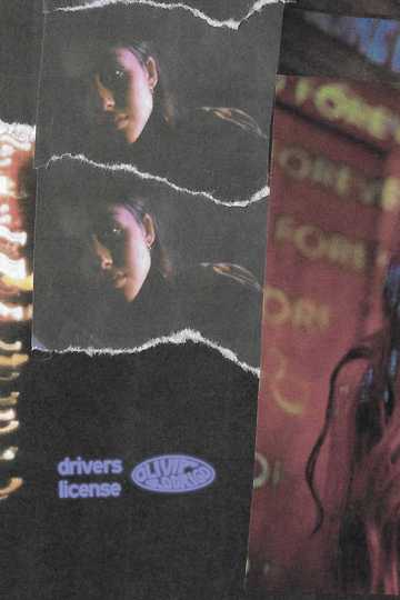 drivers license Poster