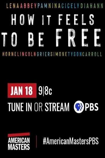 How It Feels to Be Free Poster