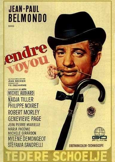 Tender Scoundrel Poster