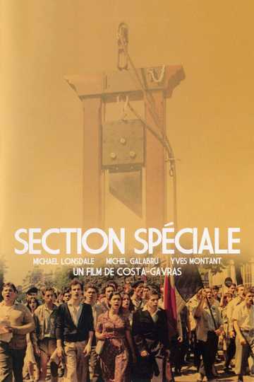 Special Section Poster