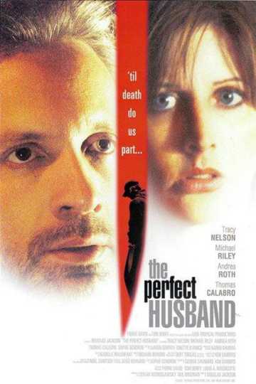 The Perfect Husband Poster