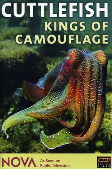 Cuttlefish Kings Of Camouflage 1997 Stream And Watch Online Moviefone