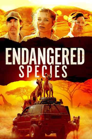 June 21 Dvd Releases Moviefone June 21 Dvd Releases Moviefone